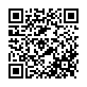 To view this 2016 Ford Transit Connect Baton Rouge LA from Airline Auto Mart, please scan this QR code with your smartphone or tablet to view the mobile version of this page.